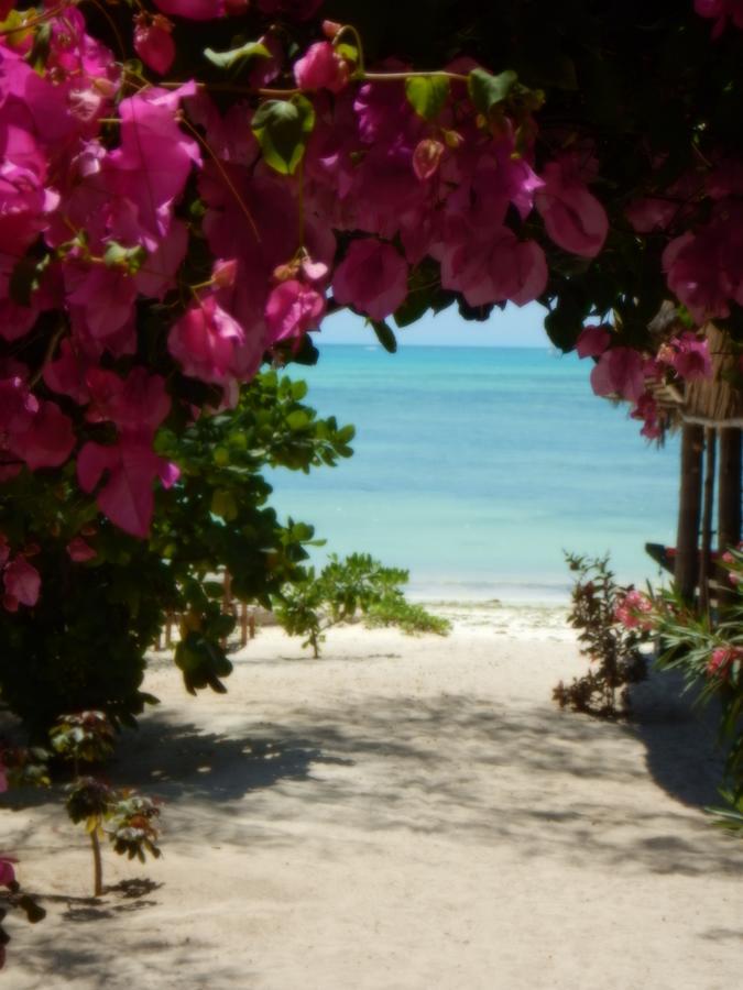 Changu Beach Resort Jambiani  Exteriér fotografie