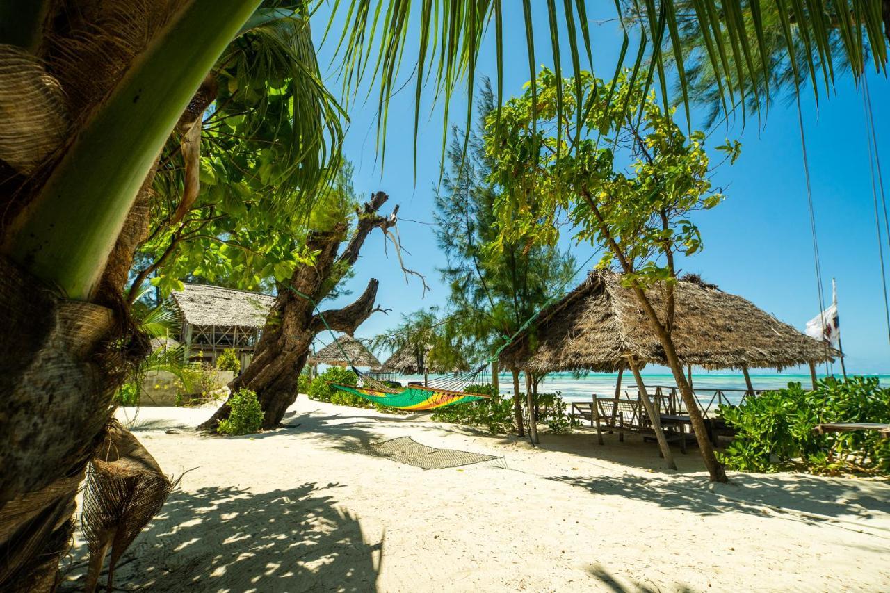 Changu Beach Resort Jambiani  Exteriér fotografie